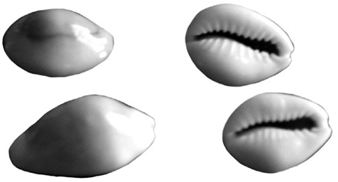 Иллюстрация к книге — 7 минут в день, чтобы желание сбылось [i_048.jpg]