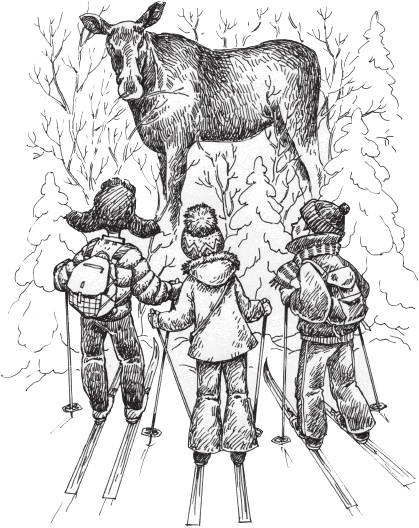 Иллюстрация к книге — Петров и Васечкин в стране Эргония. Новые приключения [i_005.jpg]