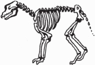 Иллюстрация к книге — Петров и Васечкин в стране Эргония. Новые приключения [i_007.jpg]