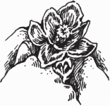 Иллюстрация к книге — Петров и Васечкин в стране Эргония. Новые приключения [i_018.jpg]