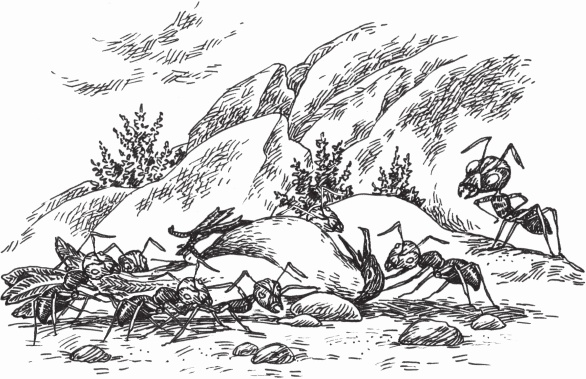 Иллюстрация к книге — Петров и Васечкин в стране Эргония. Новые приключения [i_030.jpg]