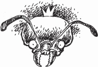 Иллюстрация к книге — Петров и Васечкин в стране Эргония. Новые приключения [i_039.jpg]