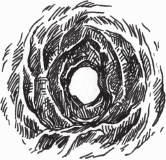 Иллюстрация к книге — Петров и Васечкин в стране Эргония. Новые приключения [i_040.jpg]