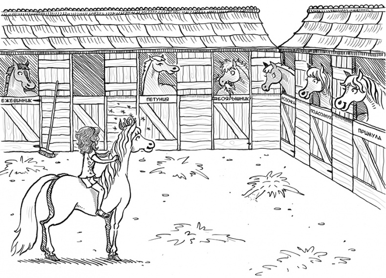 Иллюстрация к книге — День рождения пони [i_010.jpg]