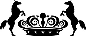 Иллюстрация к книге — День рождения пони [i_034.jpg]