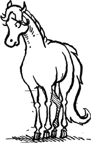 Иллюстрация к книге — День рождения пони [i_038.jpg]