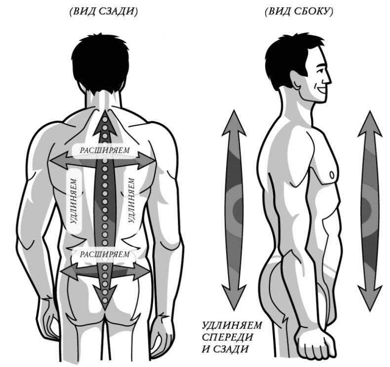 Иллюстрация к книге — Бесконечность жизни, или Лекарство от старости [i_002.jpg]