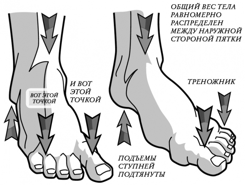 Иллюстрация к книге — Бесконечность жизни, или Лекарство от старости [i_004.jpg]