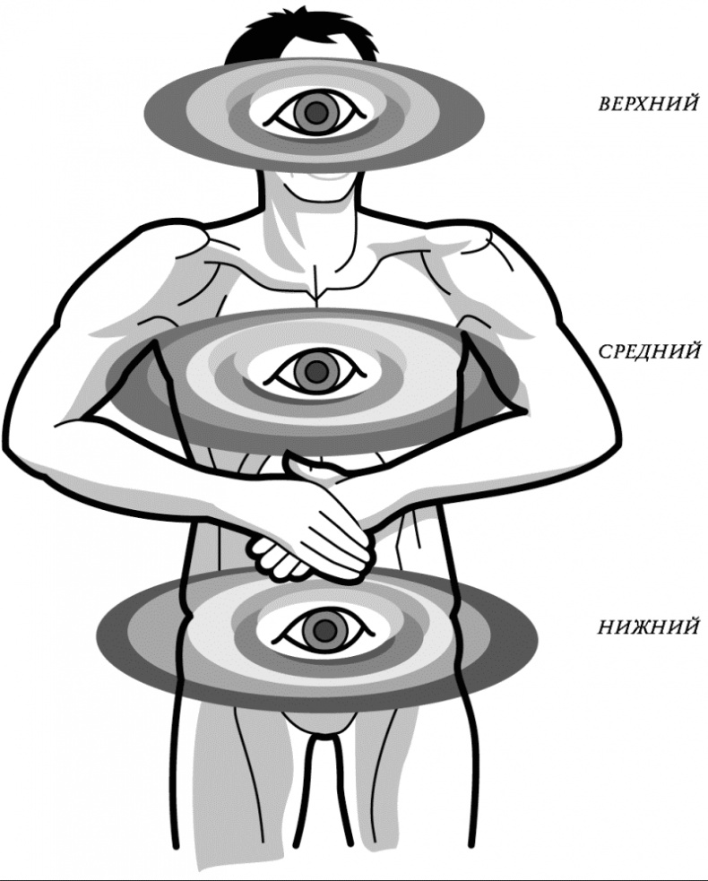 Иллюстрация к книге — Бесконечность жизни, или Лекарство от старости [i_006.jpg]