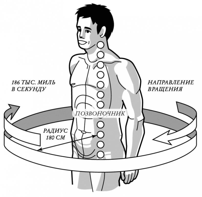 Иллюстрация к книге — Бесконечность жизни, или Лекарство от старости [i_009.jpg]