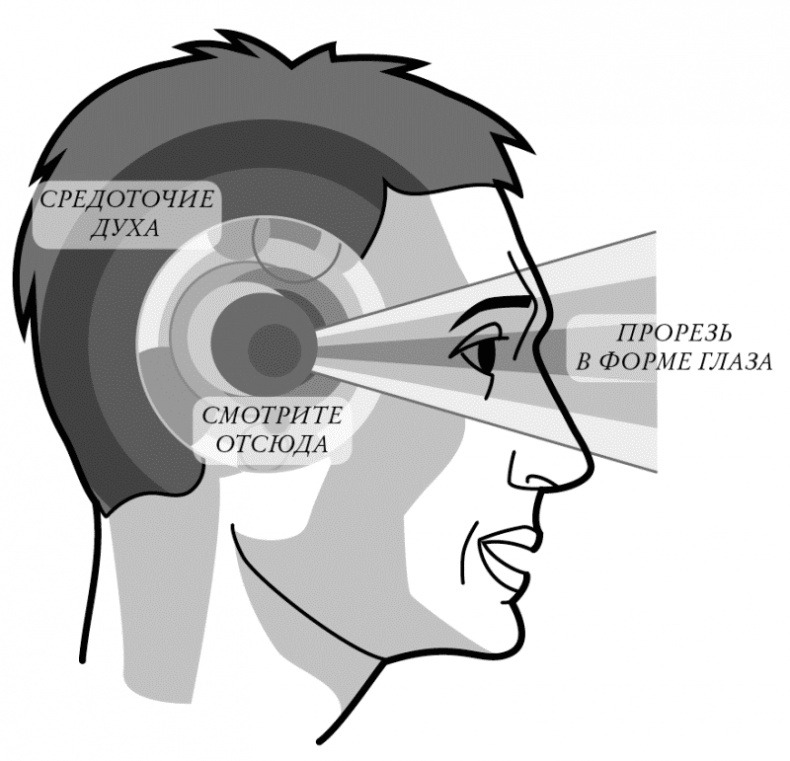 Иллюстрация к книге — Бесконечность жизни, или Лекарство от старости [i_011.jpg]