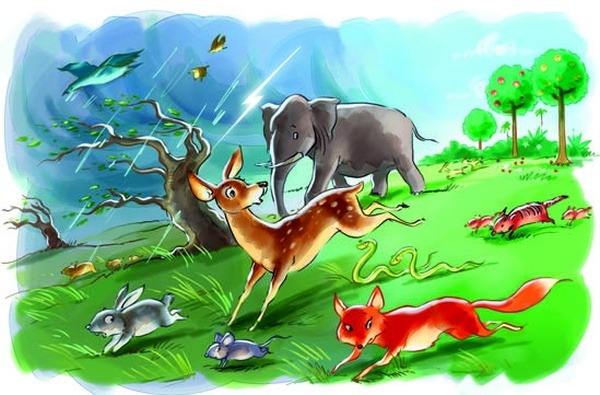 Иллюстрация к книге — Боцман, бурундук, кот и крыса. Сказка для детей и всех остальных [i_013.jpg]