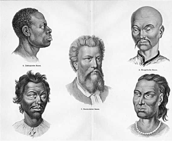 Иллюстрация к книге — Сага о Великой Степи [i_099.jpg]