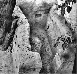 Иллюстрация к книге — Сага о Великой Степи [i_146.jpg]