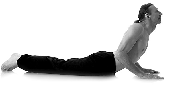 Иллюстрация к книге — Йога за 10 минут. Упражнения, которые вернут бодрость, омолодят тело, предотвратят болезни! [i_020.jpg]