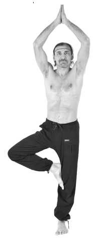 Иллюстрация к книге — Йога за 10 минут. Упражнения, которые вернут бодрость, омолодят тело, предотвратят болезни! [i_044.jpg]