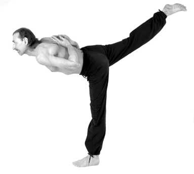 Иллюстрация к книге — Йога за 10 минут. Упражнения, которые вернут бодрость, омолодят тело, предотвратят болезни! [i_049.jpg]