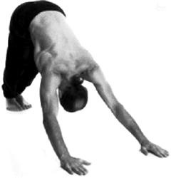 Иллюстрация к книге — Йога за 10 минут. Упражнения, которые вернут бодрость, омолодят тело, предотвратят болезни! [i_072.jpg]