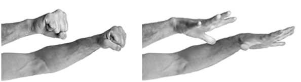 Иллюстрация к книге — Йога за 10 минут. Упражнения, которые вернут бодрость, омолодят тело, предотвратят болезни! [i_143.jpg]