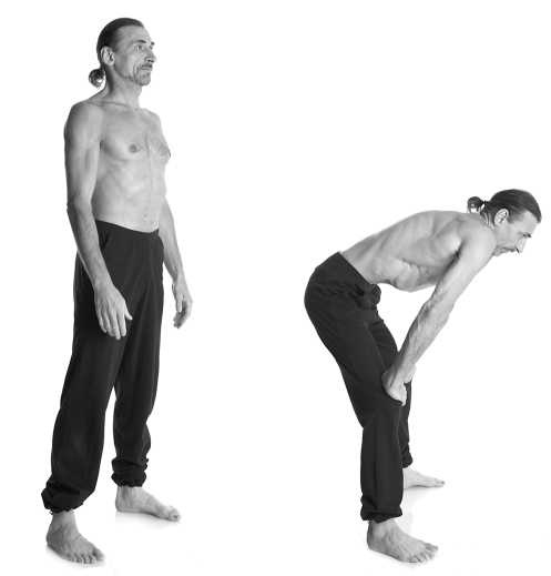 Иллюстрация к книге — Йога за 10 минут. Упражнения, которые вернут бодрость, омолодят тело, предотвратят болезни! [i_158.jpg]