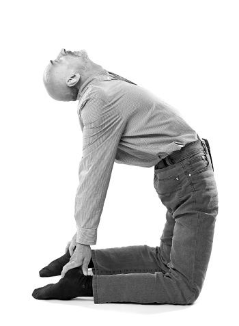 Иллюстрация к книге — Йога за 10 минут. Упражнения, которые вернут бодрость, омолодят тело, предотвратят болезни! [i_171.jpg]