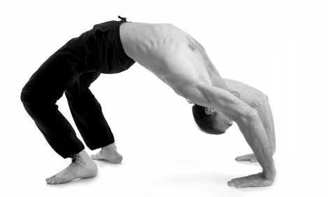 Иллюстрация к книге — Йога за 10 минут. Упражнения, которые вернут бодрость, омолодят тело, предотвратят болезни! [i_200.jpg]