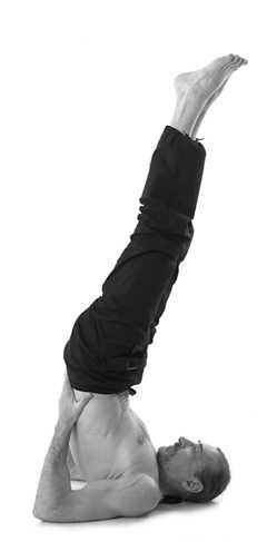 Иллюстрация к книге — Йога за 10 минут. Упражнения, которые вернут бодрость, омолодят тело, предотвратят болезни! [i_205.jpg]