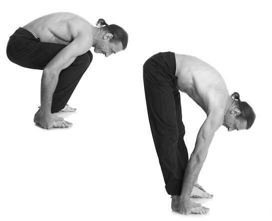 Иллюстрация к книге — Йога за 10 минут. Упражнения, которые вернут бодрость, омолодят тело, предотвратят болезни! [i_254.jpg]