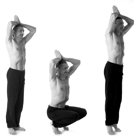 Иллюстрация к книге — Йога за 10 минут. Упражнения, которые вернут бодрость, омолодят тело, предотвратят болезни! [i_256.jpg]