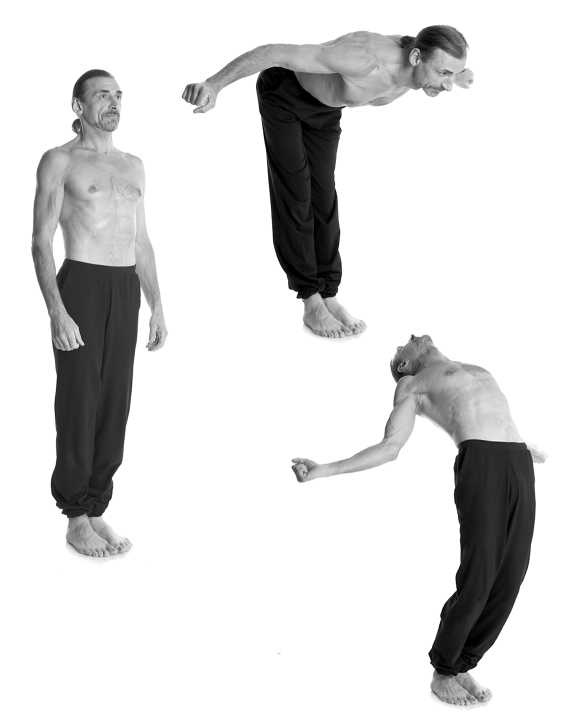 Иллюстрация к книге — Йога за 10 минут. Упражнения, которые вернут бодрость, омолодят тело, предотвратят болезни! [i_271.jpg]