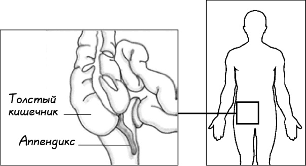 Иллюстрация к книге — Жизнь по принципу &quot;Послать все на...&quot; [_26.jpg]