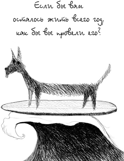 Иллюстрация к книге — Жизнь по принципу &quot;Послать все на...&quot; [_5.jpg]