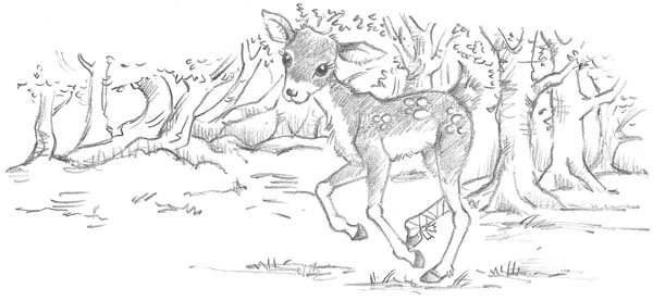 Иллюстрация к книге — Крольчонок Люси, или Волшебная встреча [_015.jpg]