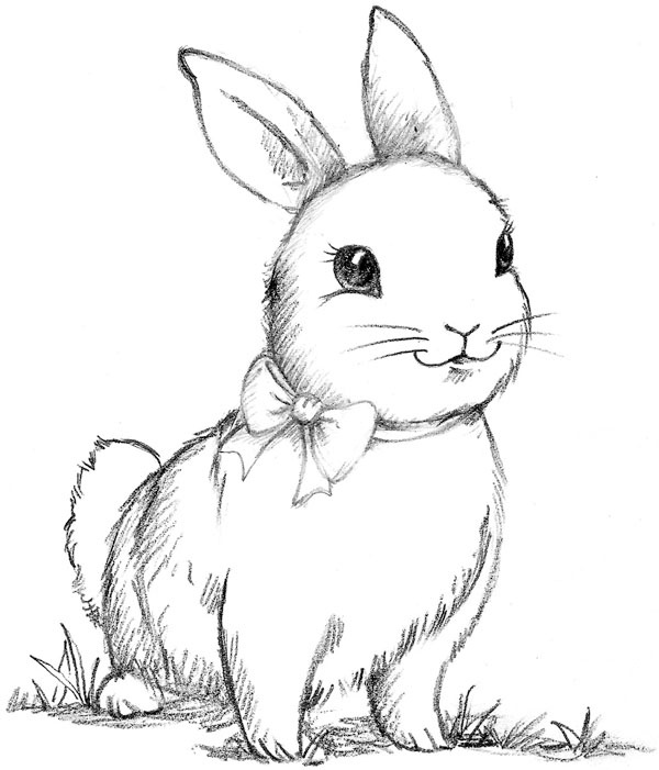 Иллюстрация к книге — Крольчонок Люси, или Волшебная встреча [_119.jpg]