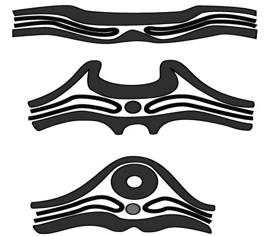 Иллюстрация к книге — Первый год жизни решает все! 365 секретов правильного развития. Этот удивительный младенец [_030.jpg]