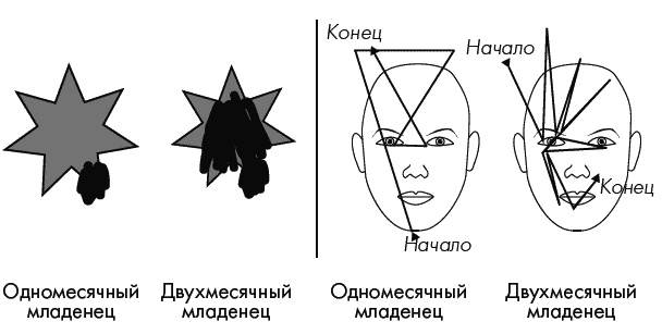 Иллюстрация к книге — Первый год жизни решает все! 365 секретов правильного развития. Этот удивительный младенец [_139.jpg]