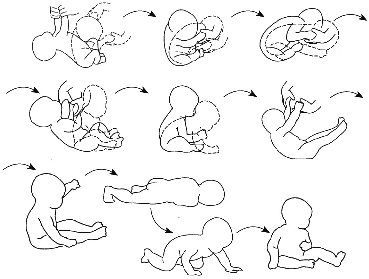 Иллюстрация к книге — Первый год жизни решает все! 365 секретов правильного развития. Этот удивительный младенец [_157.jpg]