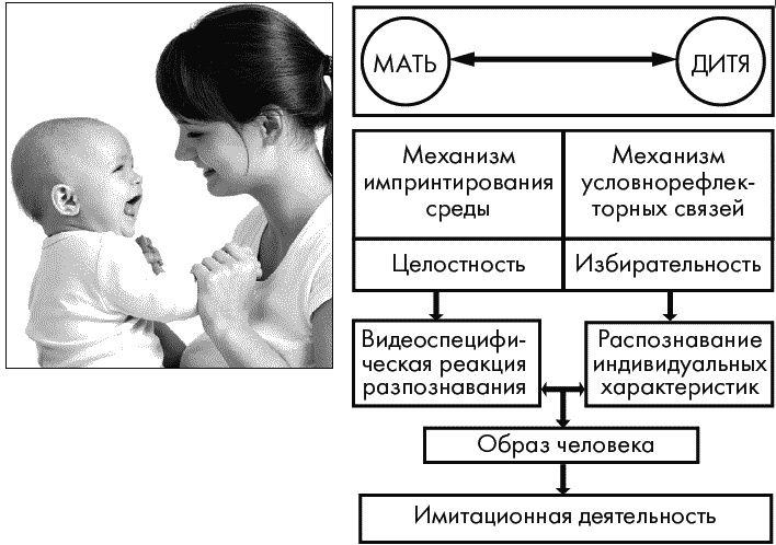Иллюстрация к книге — Первый год жизни решает все! 365 секретов правильного развития. Этот удивительный младенец [_191.jpg]