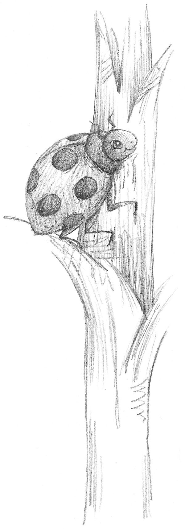 Иллюстрация к книге — Утёнок Элли, или Украденный праздник [_073.jpg]