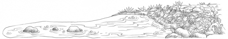 Иллюстрация к книге — Мышонок Молли, или Ярмарка чудес [_086.jpg]