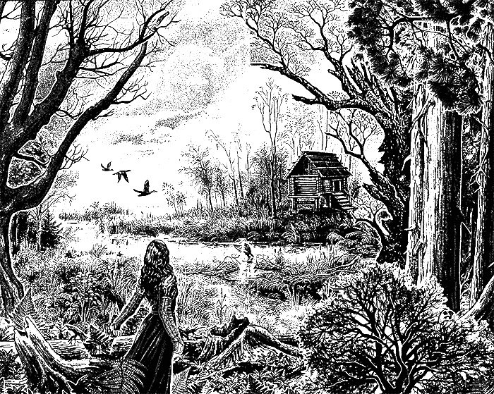 Иллюстрация к книге — Пятьсот оттенков фэнтези. Оттенок техногенный [i_001.jpg]