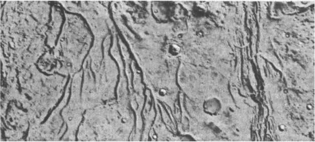 Иллюстрация к книге — Последний космический шанс [i_008.jpg]