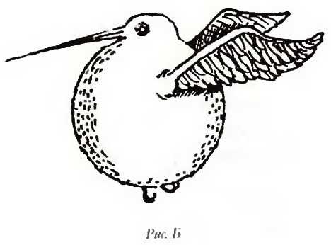 Иллюстрация к книге — Квиддич с древности до наших дней [i_005.jpg]