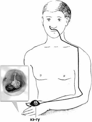 Иллюстрация к книге — От сомнений к определенности. Опыт врача [i_006.jpg]