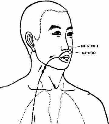 Иллюстрация к книге — От сомнений к определенности. Опыт врача [i_009.jpg]