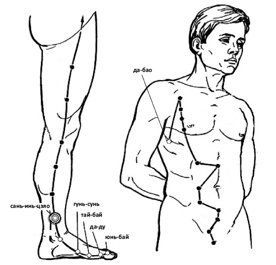 Иллюстрация к книге — От сомнений к определенности. Опыт врача [i_011.jpg]