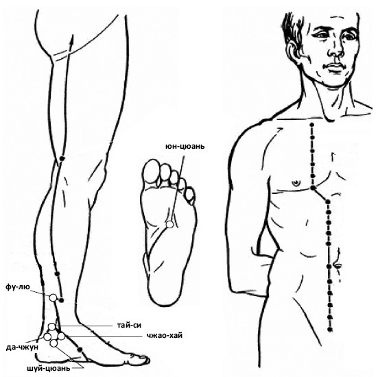 Иллюстрация к книге — От сомнений к определенности. Опыт врача [i_015.jpg]