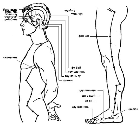 Иллюстрация к книге — От сомнений к определенности. Опыт врача [i_022.jpg]