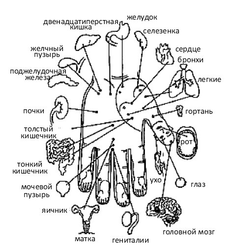 Иллюстрация к книге — От сомнений к определенности. Опыт врача [i_043.jpg]