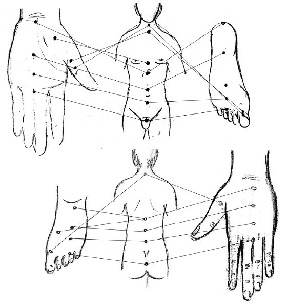 Иллюстрация к книге — От сомнений к определенности. Опыт врача [i_045.jpg]